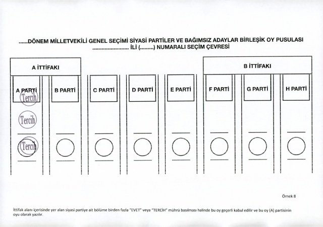 2023 Seçimleri Geçerli ve Geçersiz Oy Pusulası Örnekleri 9