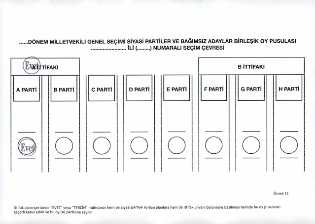 2023 Seçimleri Geçerli ve Geçersiz Oy Pusulası Örnekleri 13