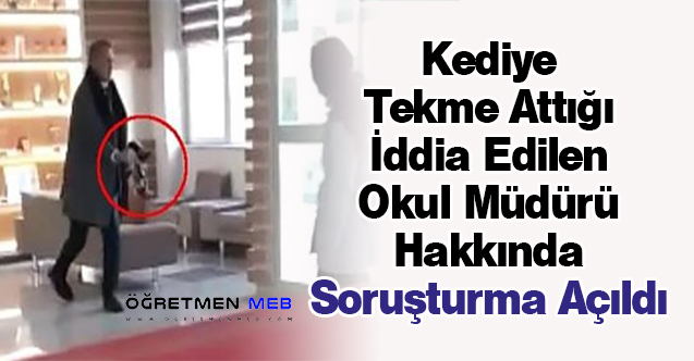 Kediye Tekme Attığı İddia Edilen Okul Müdürü Hakkında Soruşturma Açıldı