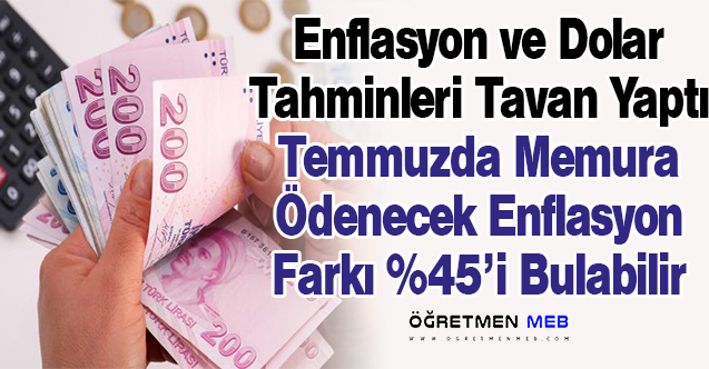 Merkez Bankasının Yeni Anketinde Enflasyon ve Dolar Zirve Yaptı