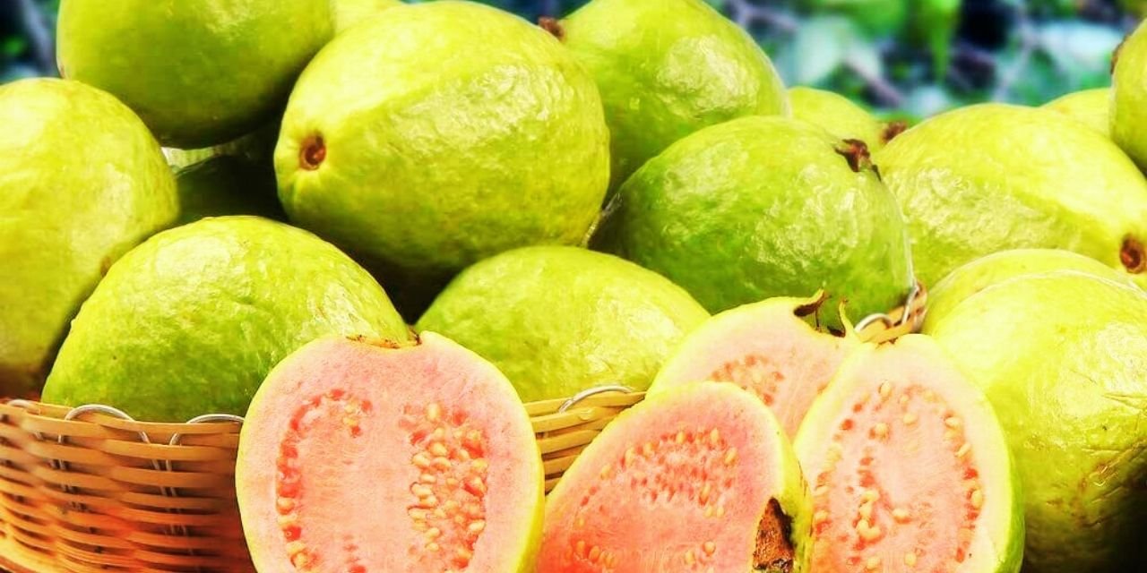 guava-saglik-deposu-tropikal-meyve-secildi.jpg